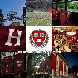 Harvard 