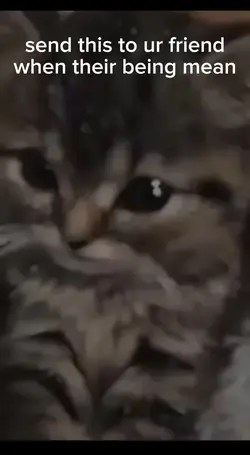 mean