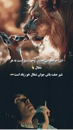 Kabulhop