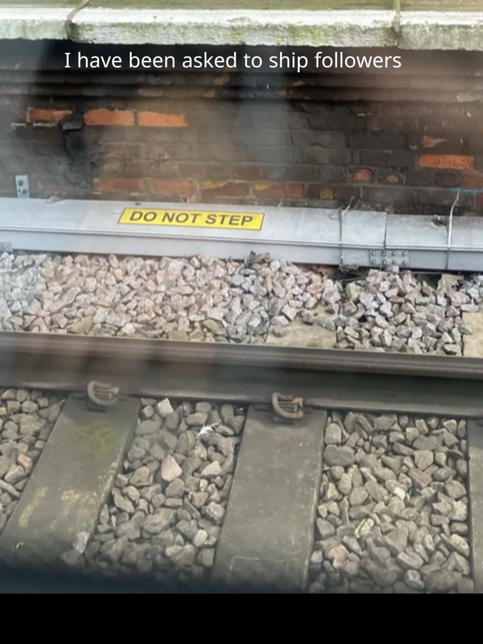 If u wanna be shippe