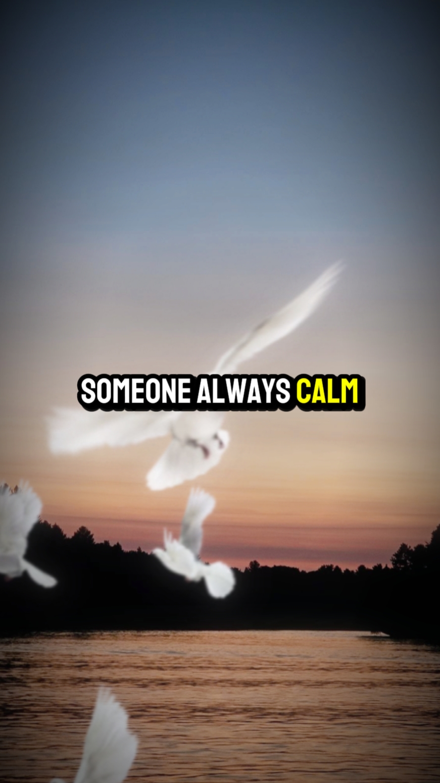 Calm always Kind