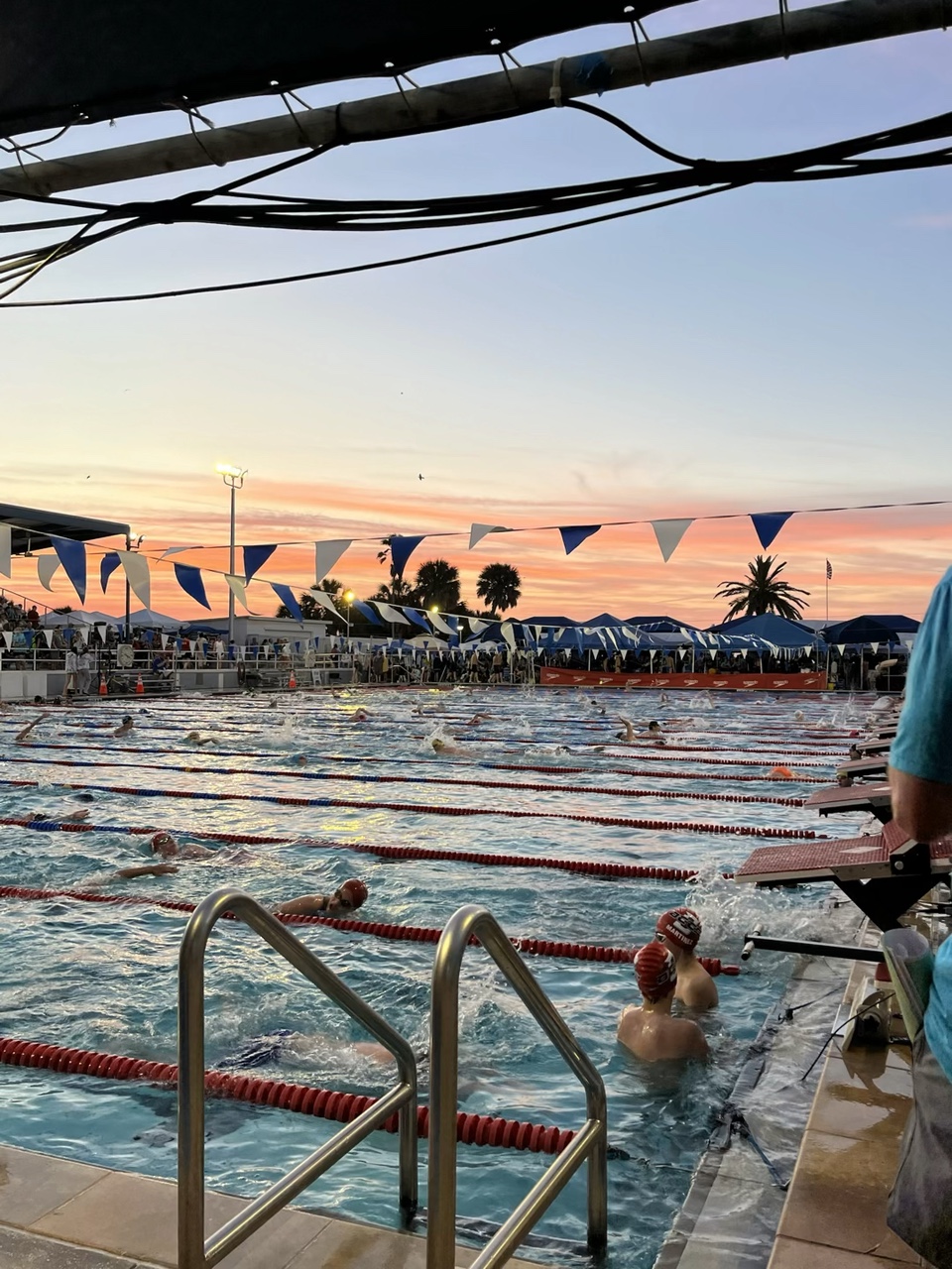 Natación>>>