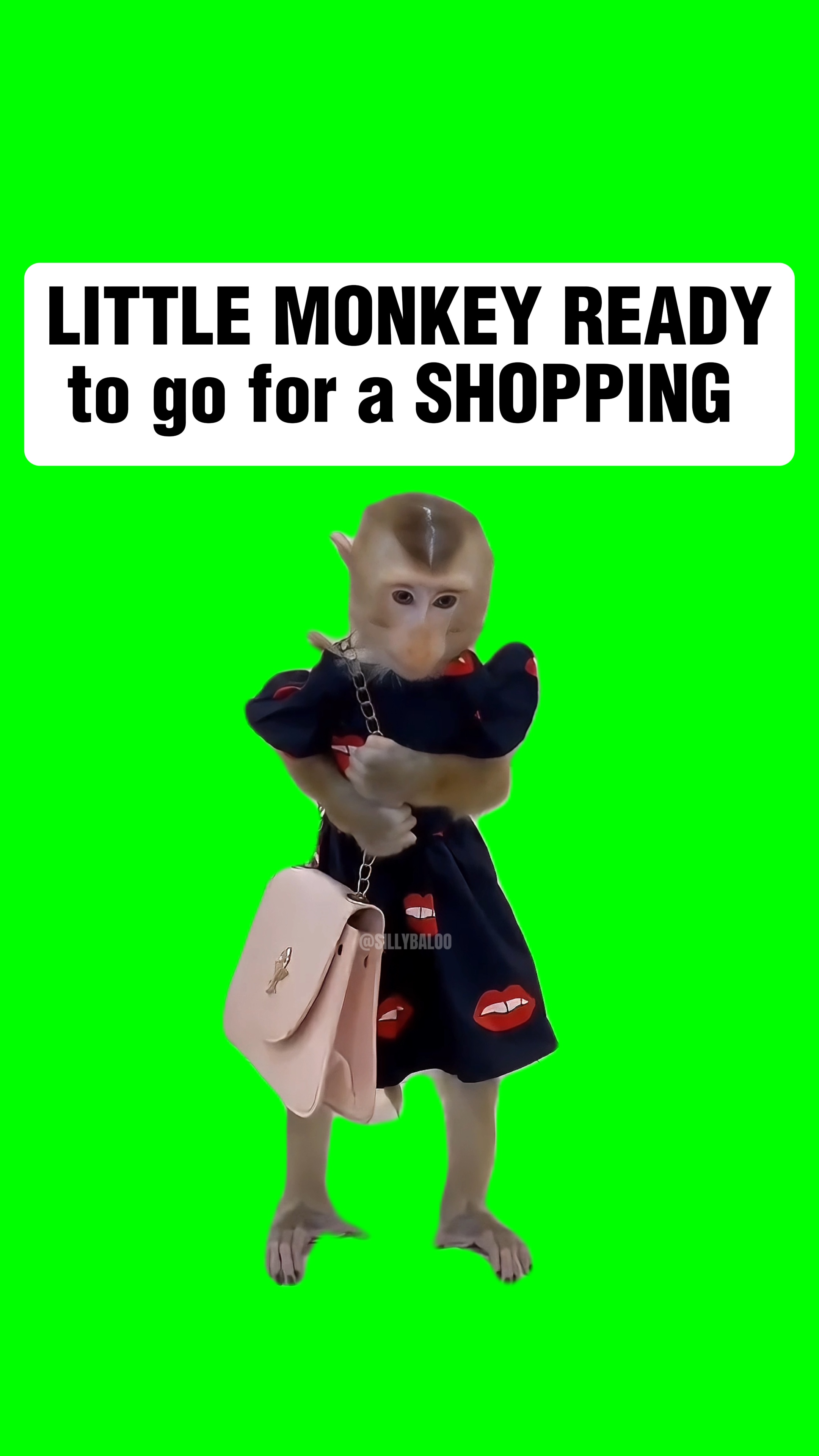 PRONTO PARA IR ÀS COMPRAS