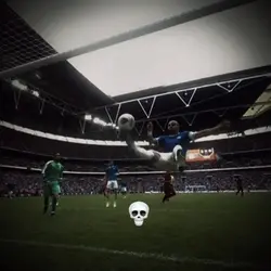 Freeze skull frame💀