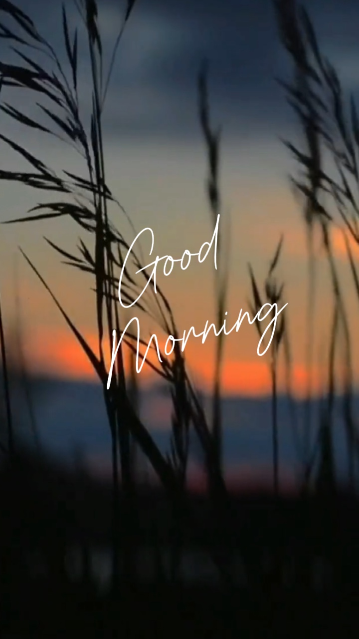 Good morning 