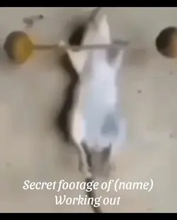 Rare footage