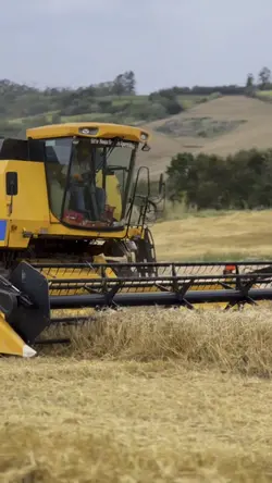 Ihuuuull voltemo 🚀💨