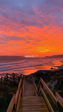 🌅