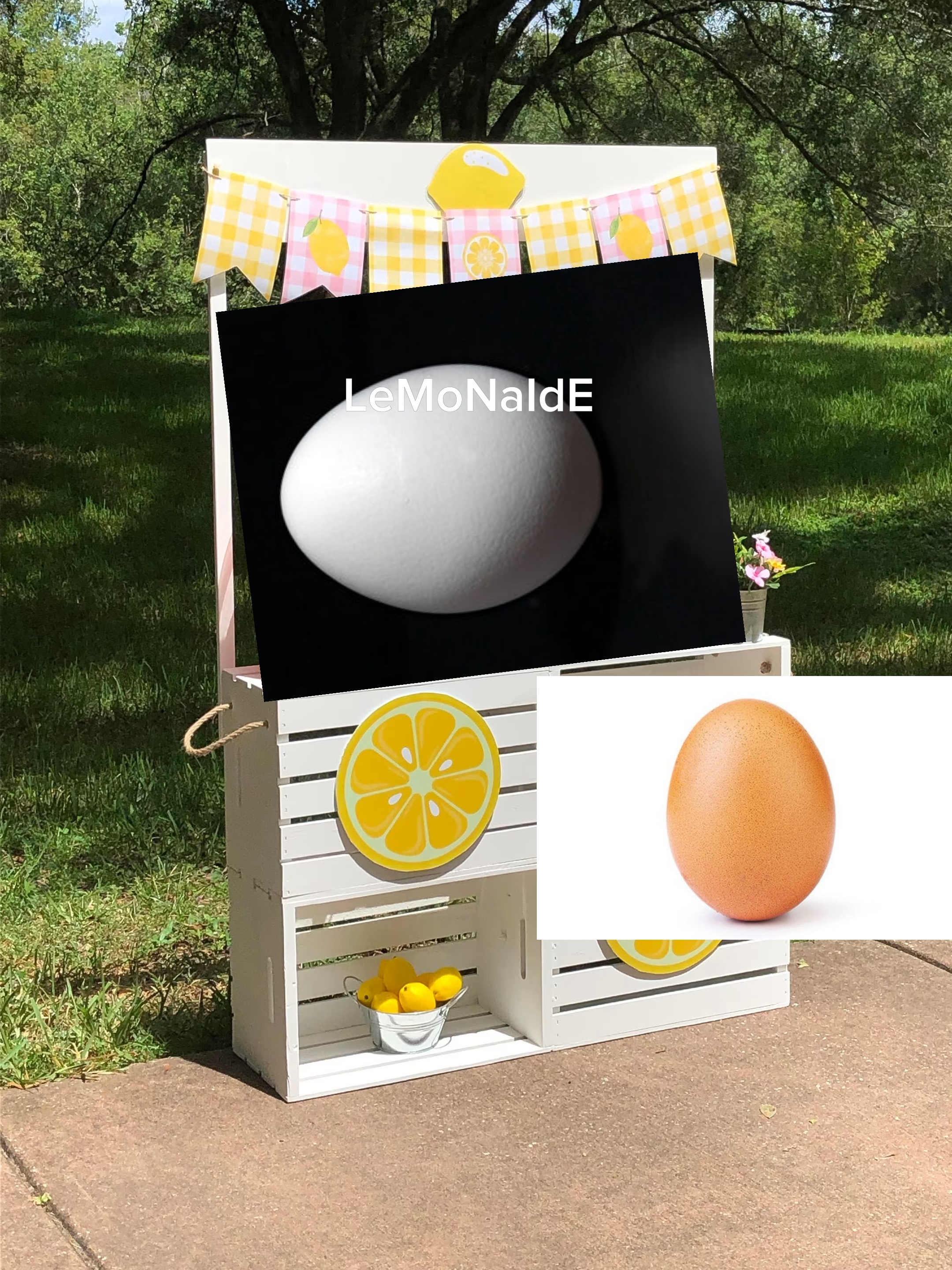 Fresh Lemonade!
