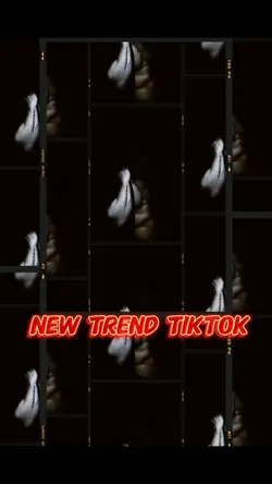 New trend Tik Tok
