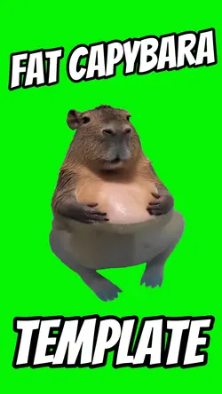 Fat Capybara