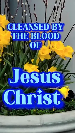 Cleansed by blood 