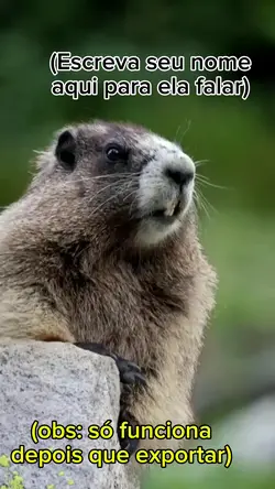 MARMOTA diz seu nome