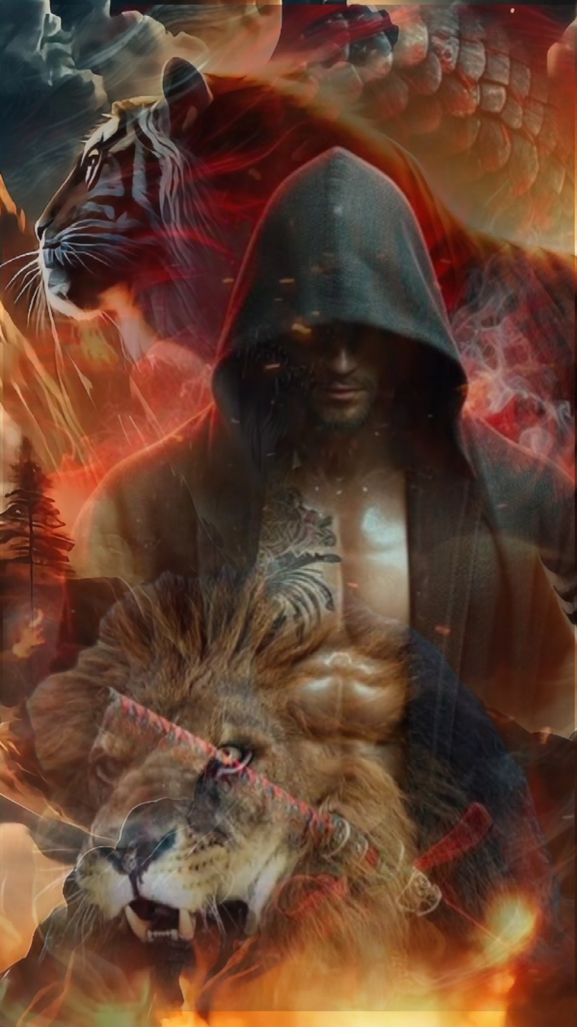 Lion and tiger 