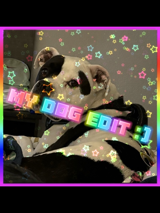Mon chien :)