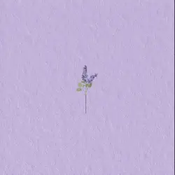 Kpop Lyric Edit