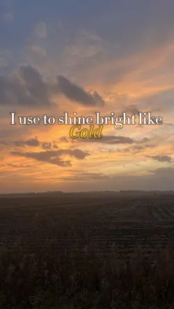 I Use To Shine 