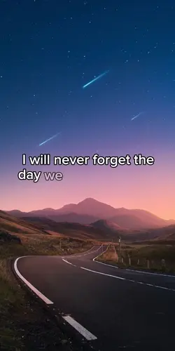 I will never 