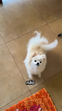Me filma 
