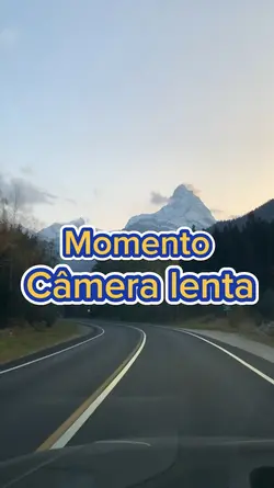 Vlog