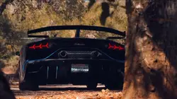 LAMBO CLIPS