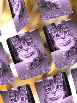 Cat Edit