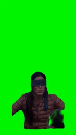 Bird Box