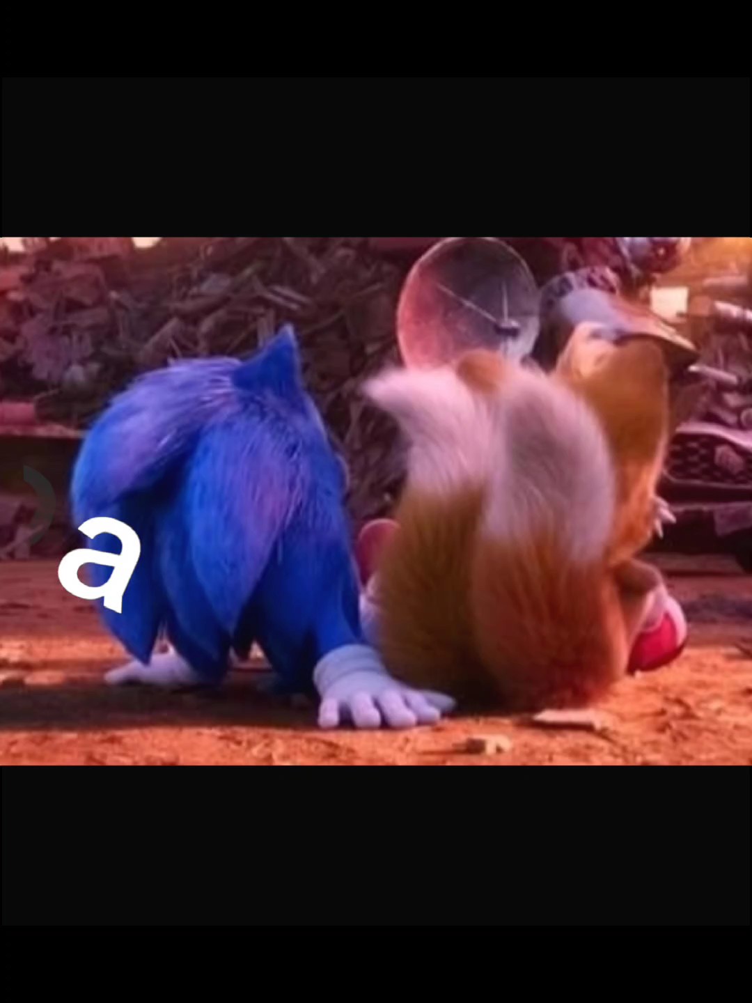 meu abrigo música