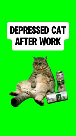DEPRESSED CAT meme