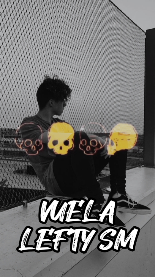 Vuela LEFTY SM 