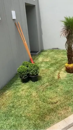 Paisagismo 