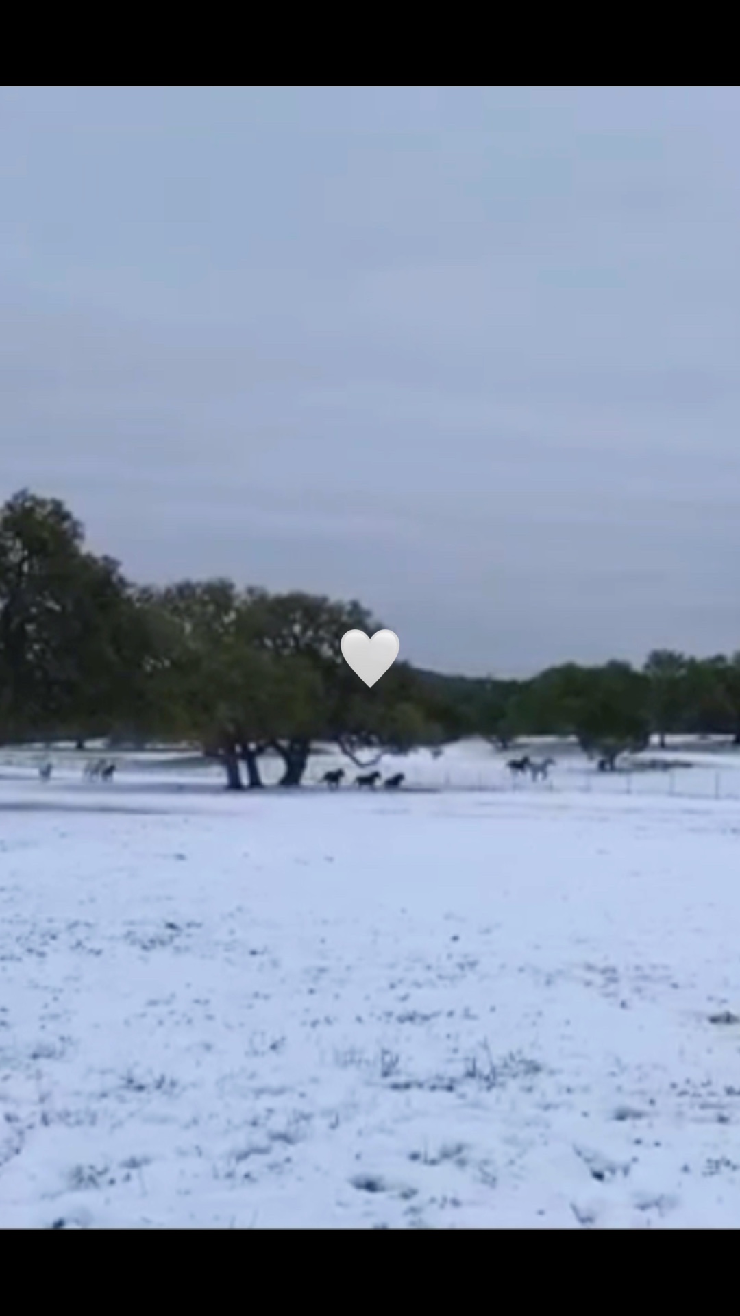 Couple years ago! 🤍🎄