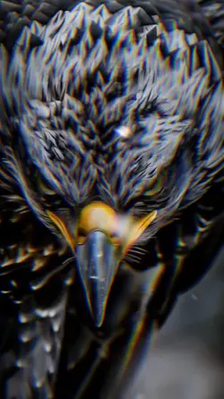 Eagle Viral AI
