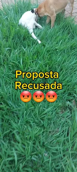 Proposta Indecente 