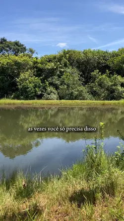 Você só precisa…