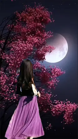 Night scene
