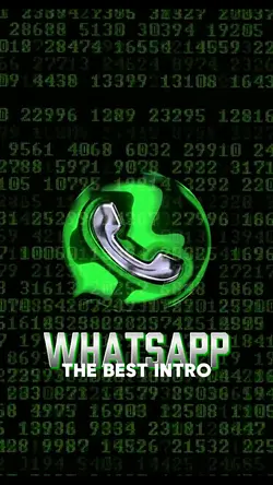 WHATSAPP INTRO