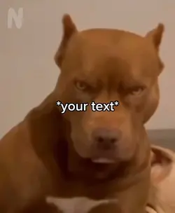 Buff pit bull stares