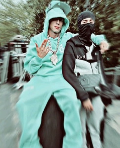 Cover Picture