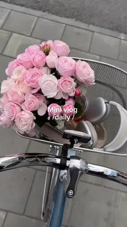 Mini vlog