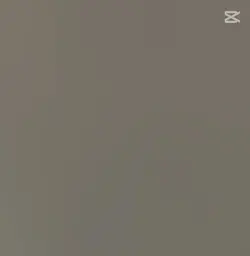 sng collab