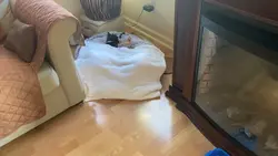 Drunk