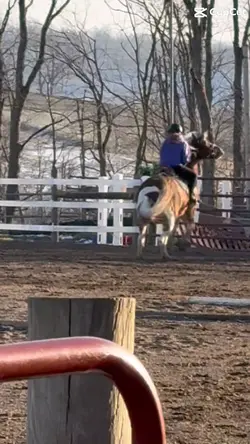 Oh Cricket 🤦‍♀️