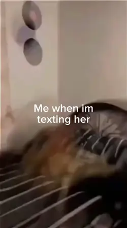 Me when i text her ☺️