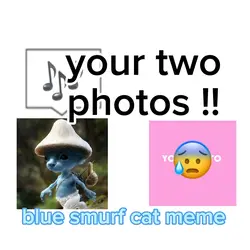repost: smurf cat 