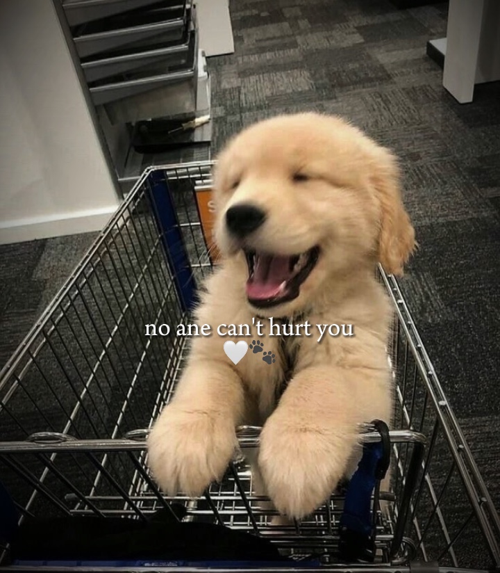 EU TE AMO ANIMAL DE ESTIMAÇÃO 🐾