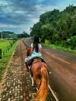 Gaúcha 