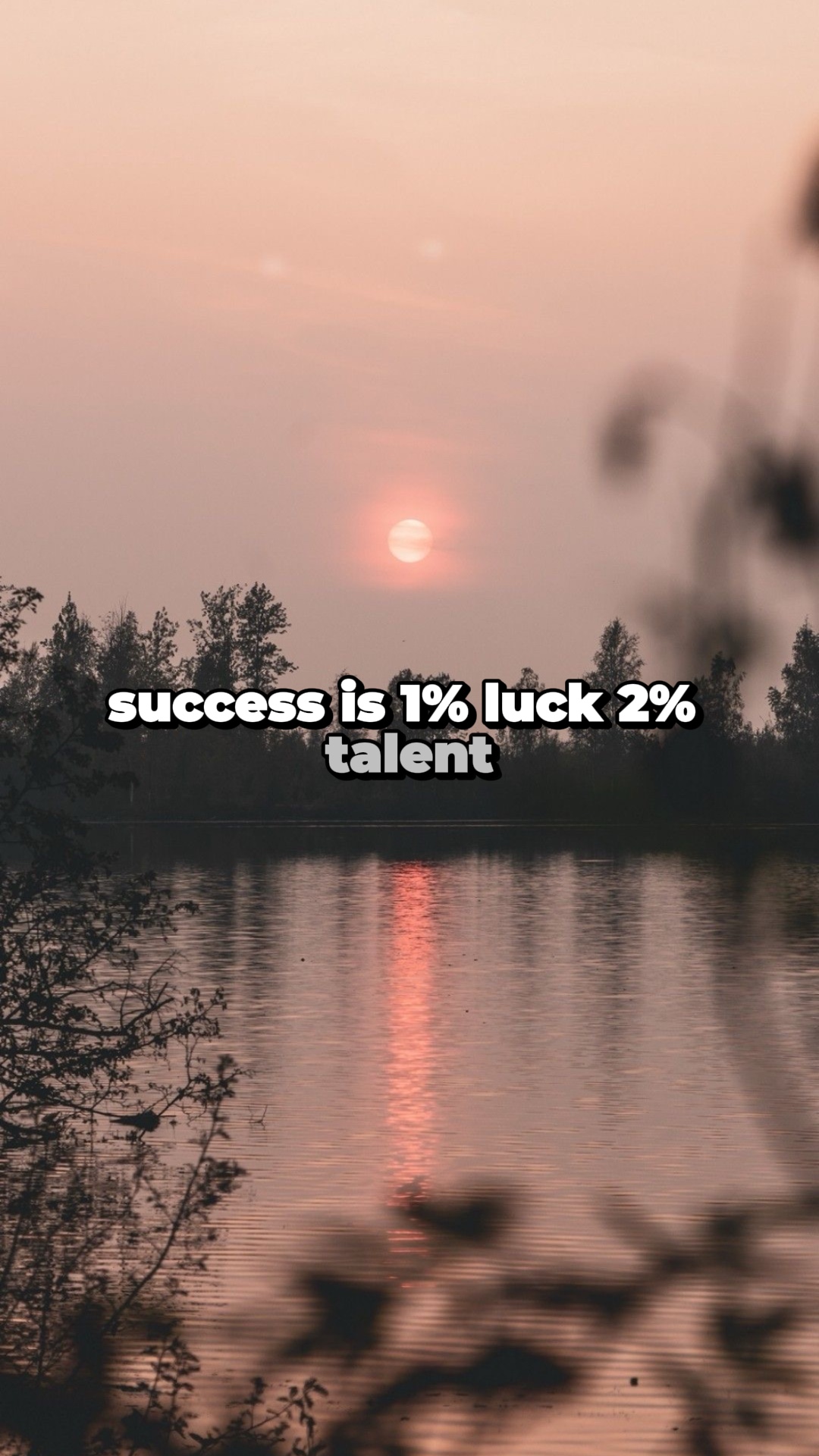 Succès 