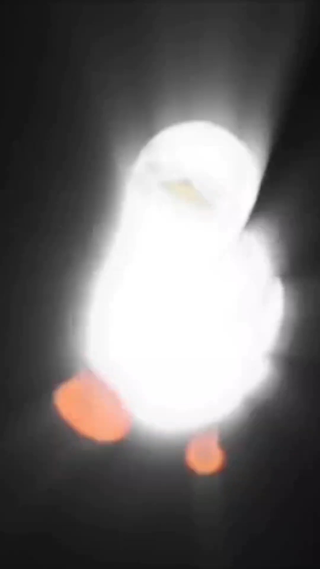 Rui bc I know a simp