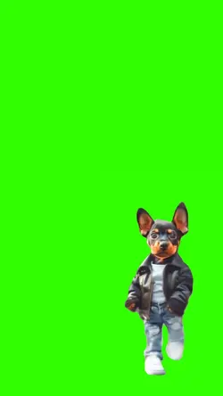 dog dance
